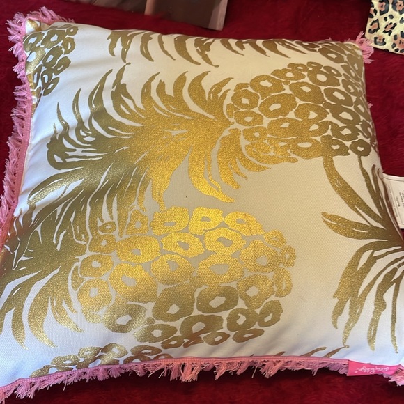 LILY PULITZER REVERSIBLE CUSHION OUTDOOR SQUARE PILLOW GREEN PINK GOLD WHITE - Picture 5 of 6